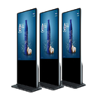 Vertical Digital Signage Display Totem 43 Inch Android Video Interactive Screen Kiosk